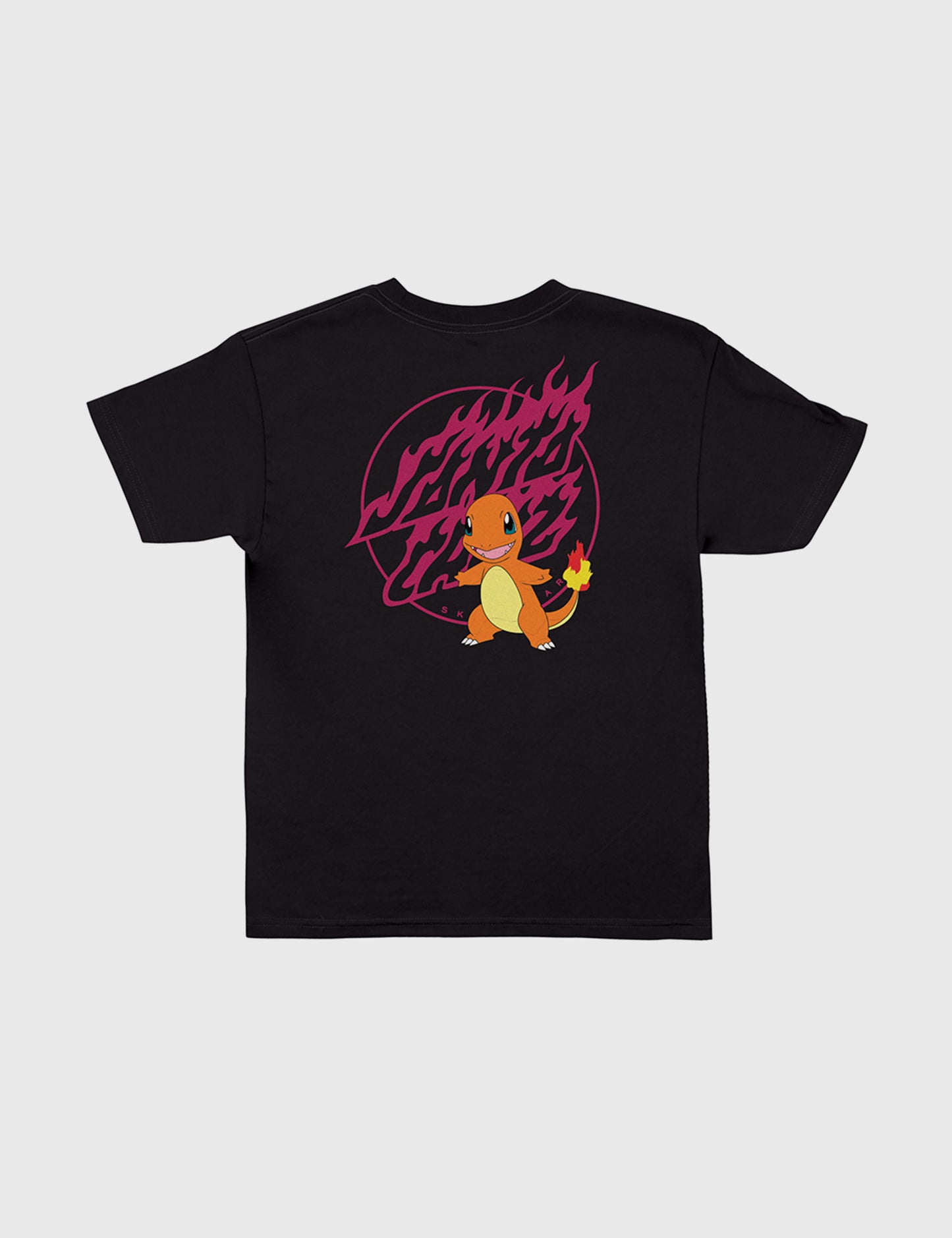 Pokémon Fire Type 1 T-Shirt (Youth)